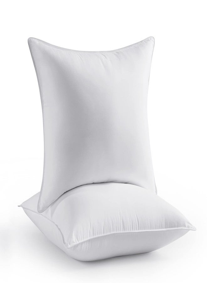 Seward Park Throw Pillows 20 x 20 inch Set of 2, Soft Fluffy Decorative Pillow Inserts for Couch Cushion and Sofa - Image 1