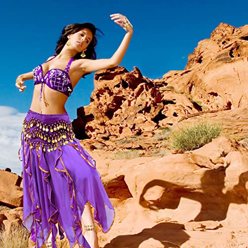 Haysandy 8 Pcs Belly Dance Outfit Sets Women,Belly Dance Skirt, Hip Scarf, 2 Bracelets, Earrings, Anklet Bracelet (Purple) - Image 5