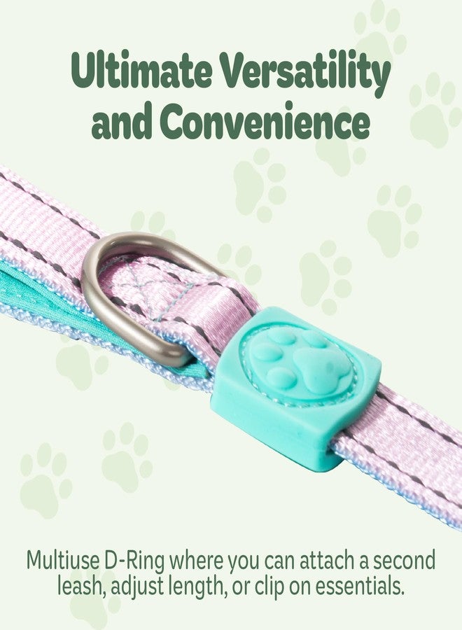 desired tools Desired Things Bungee Dog Leash Reflective Training Leash with Shock Absorbent Spring, Emergency Pull Handle, Collar Latch, D-Ring Buckle for Dog Treats, Poop Bags, Puppy Essentials - Pink and Blue - Image 4