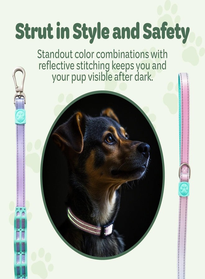 desired tools Desired Things Bungee Dog Leash Reflective Training Leash with Shock Absorbent Spring, Emergency Pull Handle, Collar Latch, D-Ring Buckle for Dog Treats, Poop Bags, Puppy Essentials - Pink and Blue - Image 5