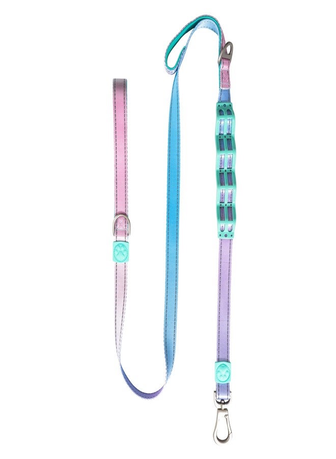 desired tools Desired Things Bungee Dog Leash Reflective Training Leash with Shock Absorbent Spring, Emergency Pull Handle, Collar Latch, D-Ring Buckle for Dog Treats, Poop Bags, Puppy Essentials - Pink and Blue - Image 1
