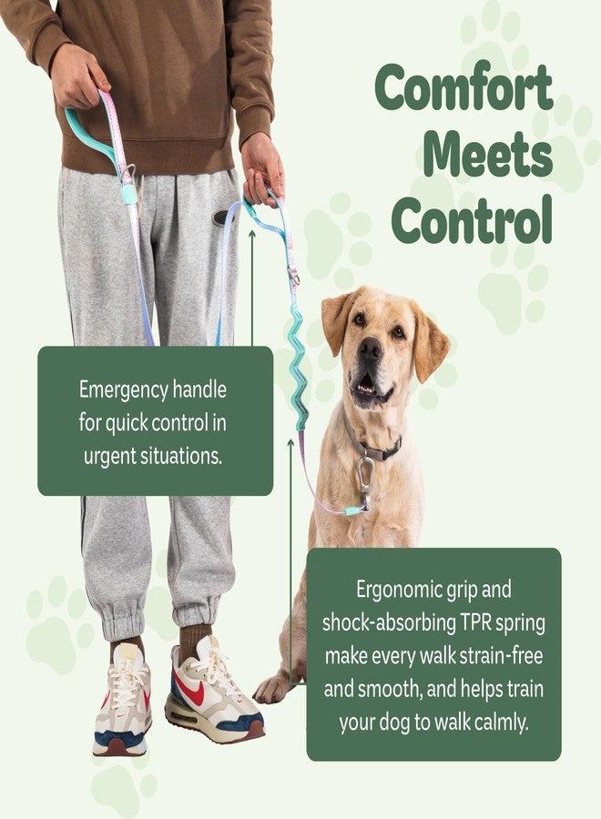 desired tools Desired Things Bungee Dog Leash Reflective Training Leash with Shock Absorbent Spring, Emergency Pull Handle, Collar Latch, D-Ring Buckle for Dog Treats, Poop Bags, Puppy Essentials - Pink and Blue - Image 2