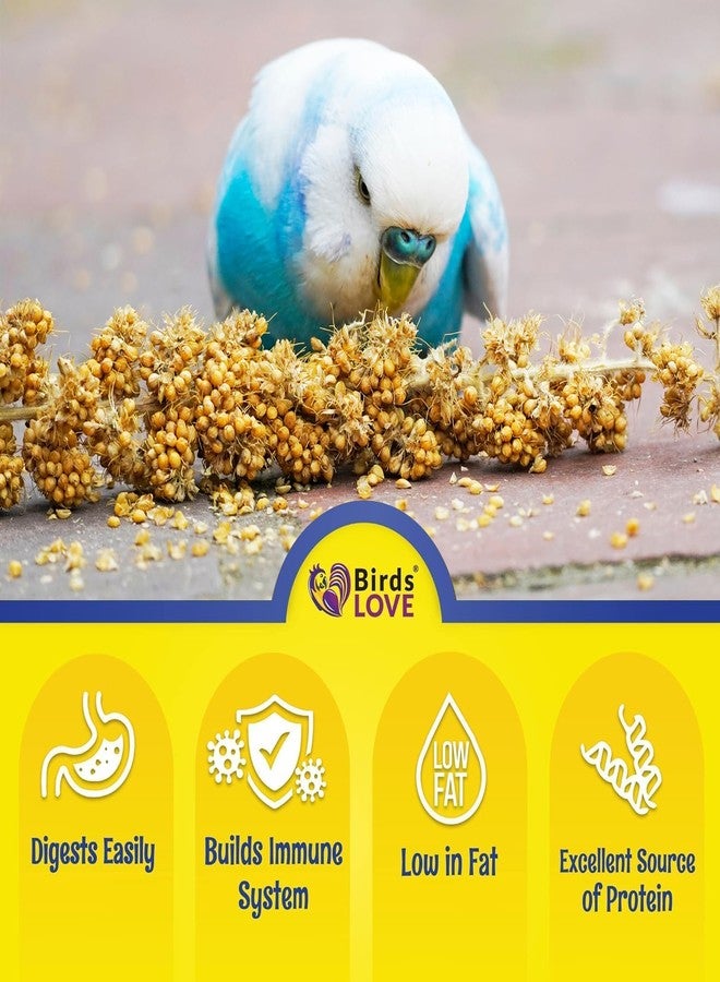 Birds LOVE Millet Tips & Tails for Birds - Parakeets, Cockatiels, Lovebirds, Finches, Budgies, Canaries, Cockatoos - Natural & Healthy Millet for Birds - Parakeet Food & Treats for All Parrots, 1lb - Image 5