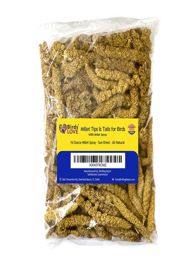 Birds LOVE Millet Tips & Tails for Birds - Parakeets, Cockatiels, Lovebirds, Finches, Budgies, Canaries, Cockatoos - Natural & Healthy Millet for Birds - Parakeet Food & Treats for All Parrots, 1lb - Image 1