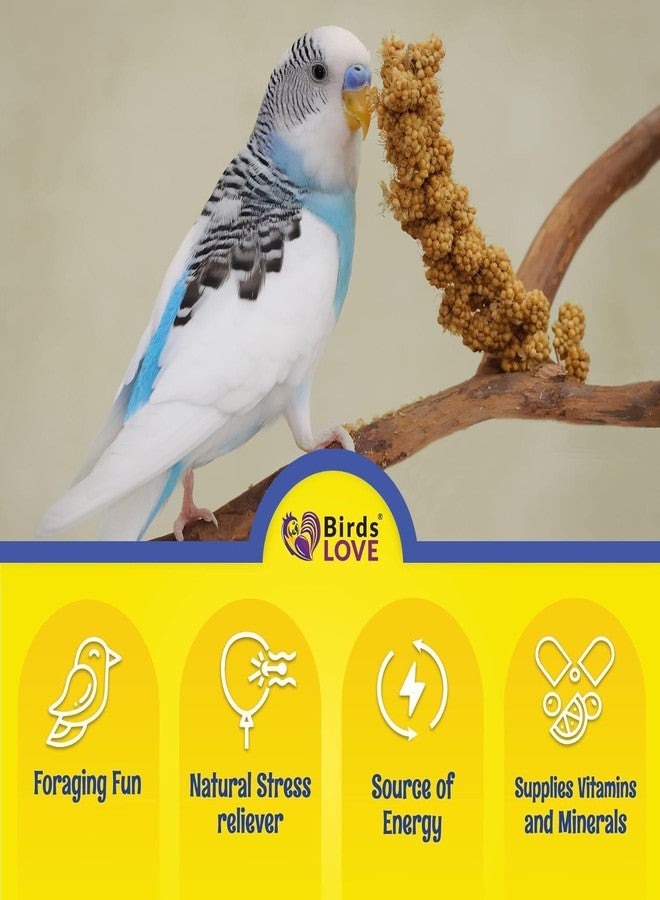 Birds LOVE Millet Tips & Tails for Birds - Parakeets, Cockatiels, Lovebirds, Finches, Budgies, Canaries, Cockatoos - Natural & Healthy Millet for Birds - Parakeet Food & Treats for All Parrots, 1lb - Image 4