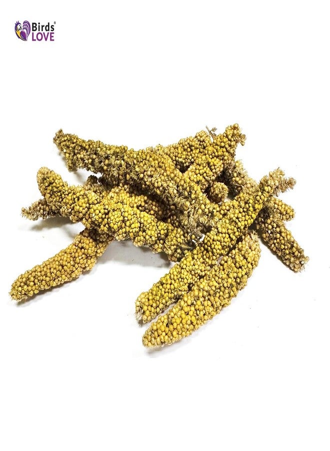 Birds LOVE Millet Tips & Tails for Birds - Parakeets, Cockatiels, Lovebirds, Finches, Budgies, Canaries, Cockatoos - Natural & Healthy Millet for Birds - Parakeet Food & Treats for All Parrots, 1lb - Image 2