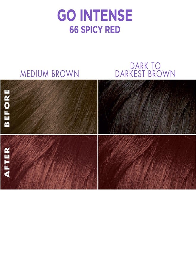 SOFT SHEEN SoftSheen-Carson Dark and Lovely Ultra Vibrant Permanent Hair Color Go Intense Hair Dye for Dark Hair with Olive Oil for Shine and Softness, Spicy Red - Image 2
