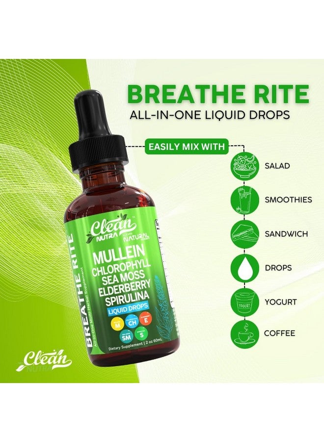 Clean Nutraceuticals Organic Mullein Liquid Drops With Chlorophyll for Lung Detox Plus Irish Sea Moss, Spirulina, Licorice, Tart Cherry, Lobelia, Motherwort, And Elderberry For Men Women Health Supplement Vitamin (2) - Image 3