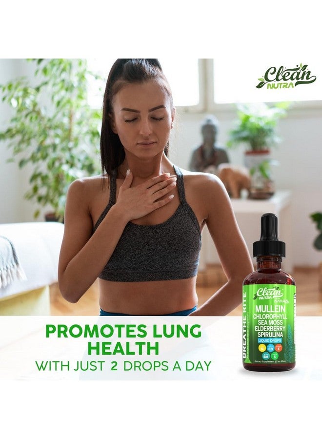 Clean Nutraceuticals Organic Mullein Liquid Drops With Chlorophyll for Lung Detox Plus Irish Sea Moss, Spirulina, Licorice, Tart Cherry, Lobelia, Motherwort, And Elderberry For Men Women Health Supplement Vitamin (2) - Image 5