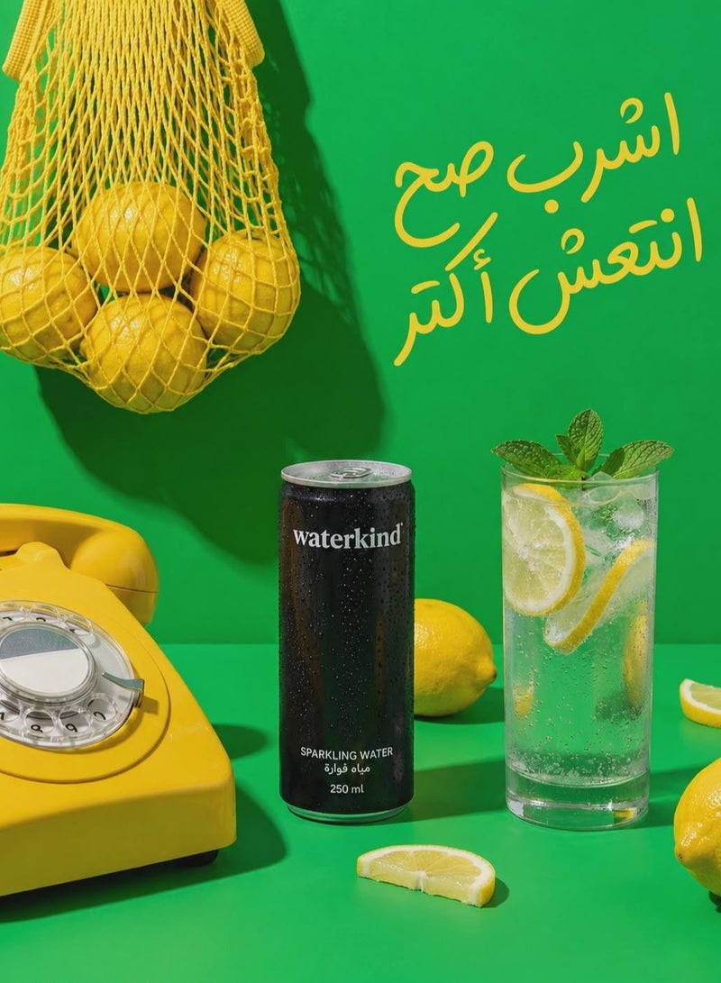 ووتركايند ووتر كايند مياه فوارة – عرض 4 علب (250 مل للعلبة) - Image 2