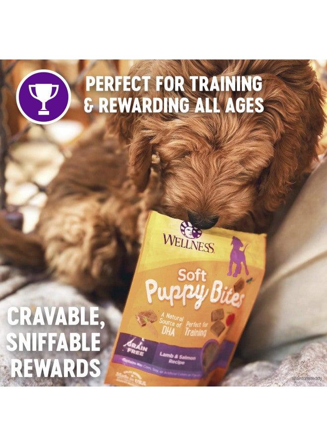 WELLNESS Wellness Soft Puppy Bites Natural Grain-Free Treats for Training, Dog Treats with Real Meat and DHA, No Artificial Flavors (Lamb & Salmon, 8-Ounce Bag) - Image 2