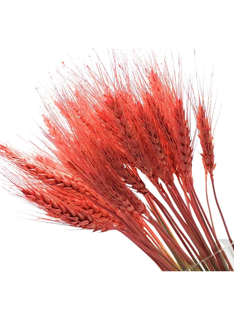 FANCY FLOWERS FANCY  Dried Wheat Grass Bouquet - Artificial Wheat Dried Flowers - Home  Hotel Table (25, Old Rose) - Image 1