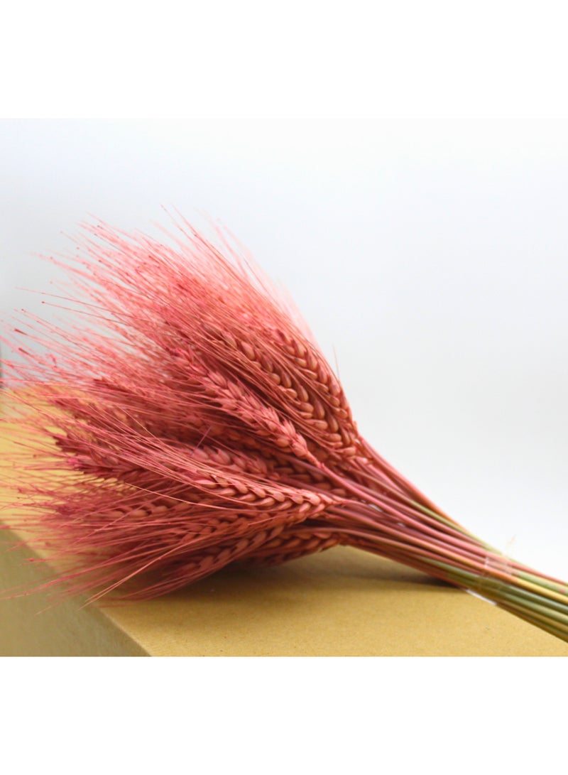 FANCY FLOWERS FANCY  Dried Wheat Grass Bouquet - Artificial Wheat Dried Flowers - Home  Hotel Table (25, Old Rose) - Image 2