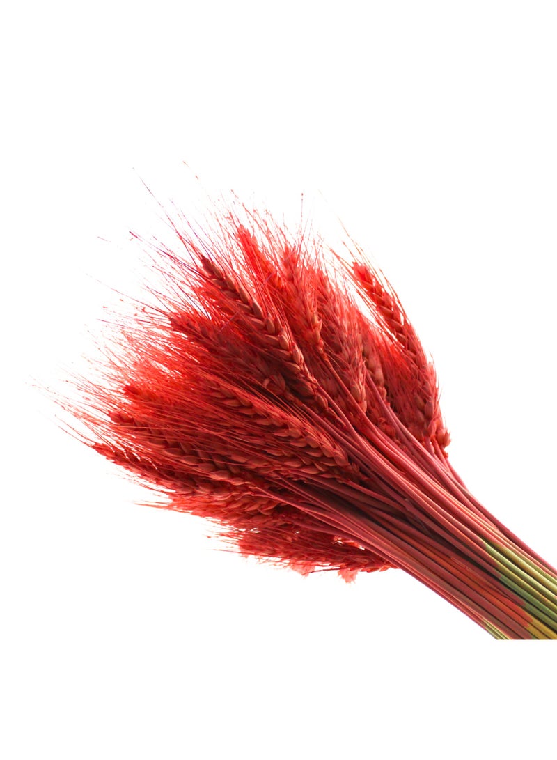 FANCY FLOWERS FANCY  Dried Wheat Grass Bouquet - Artificial Wheat Dried Flowers - Home  Hotel Table (25, Old Rose) - Image 3