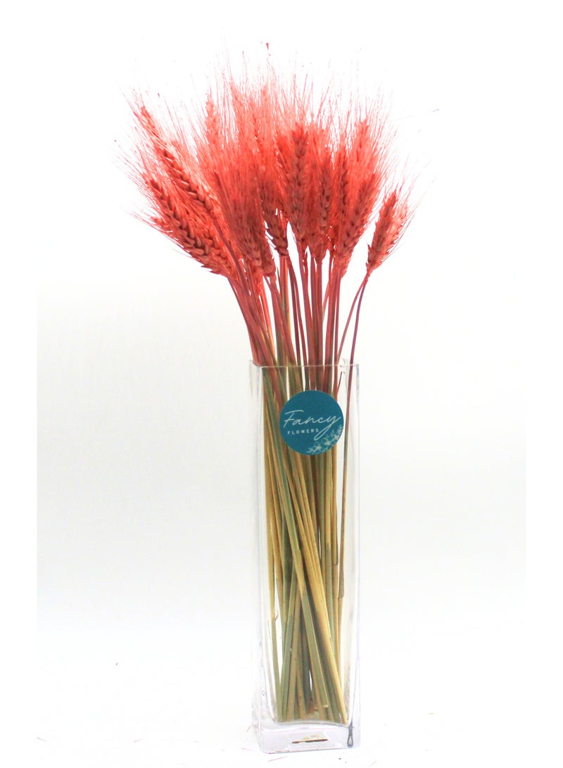 FANCY FLOWERS FANCY  Dried Wheat Grass Bouquet - Artificial Wheat Dried Flowers - Home  Hotel Table (25, Old Rose) - Image 4