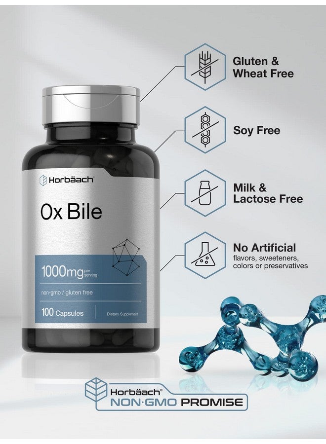 Horbäach Ox Bile Supplement | 1000mg | 100 Capsules | Digestive Enzymes Supplement | Non-GMO & Gluten Free - Image 5