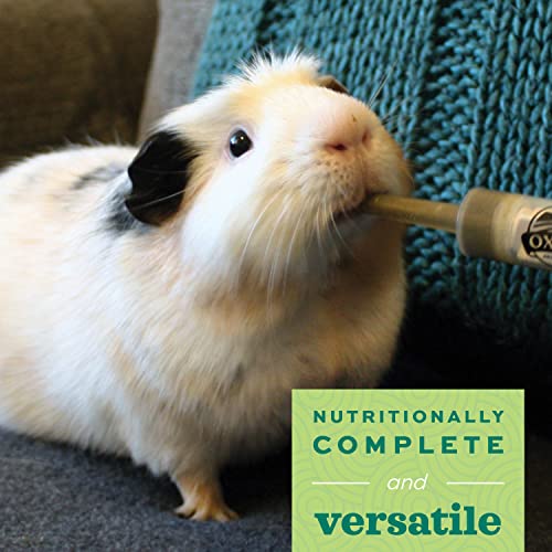 Oxbow Critical Care Pet Supplement, 141gm, All Life Stages, Powder, Guinea Pig,rabbit - Image 2
