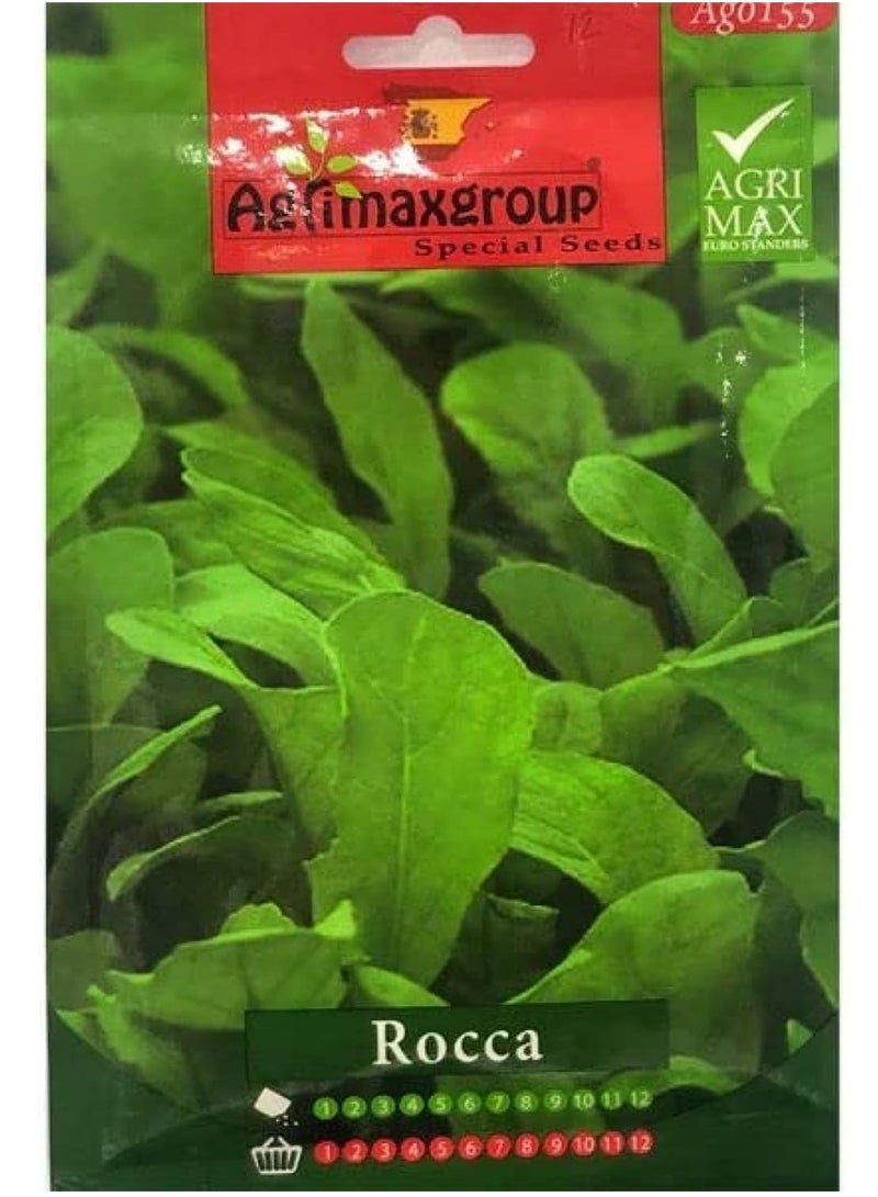Agrimax Rocca Premium Quality Seeds by Agrimaxgroup - Image 2