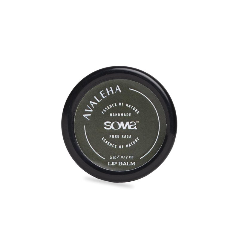 SOMA Avaleha Herbal Ayurvedic Natural  Organic Lip Balm  For Dry Chapped Dark  Pigmented lips with Shea Butter Vitamin E  Rose Geranium Essential Oil  For Glossy Plump  Natural Pink lips  Hydrating  Nourishing Lip Care Formula  5 Gms - Image 1