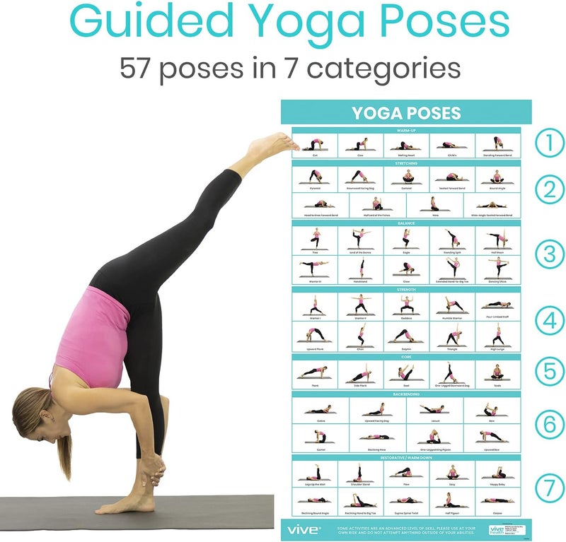 VIVE Yoga Poster - Poses for Beginners and Experts - Mat Exercise Home Gym Workout Accessories Set- Double Sided Laminated Flow Chart Accessory - Instructional Guided Routine - for Women, Men - Image 2