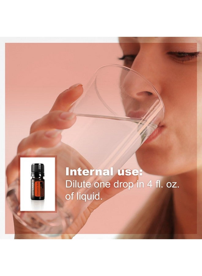 DoTerra doTERRA Cinnamon Essential Oil - 5 ml - Image 5