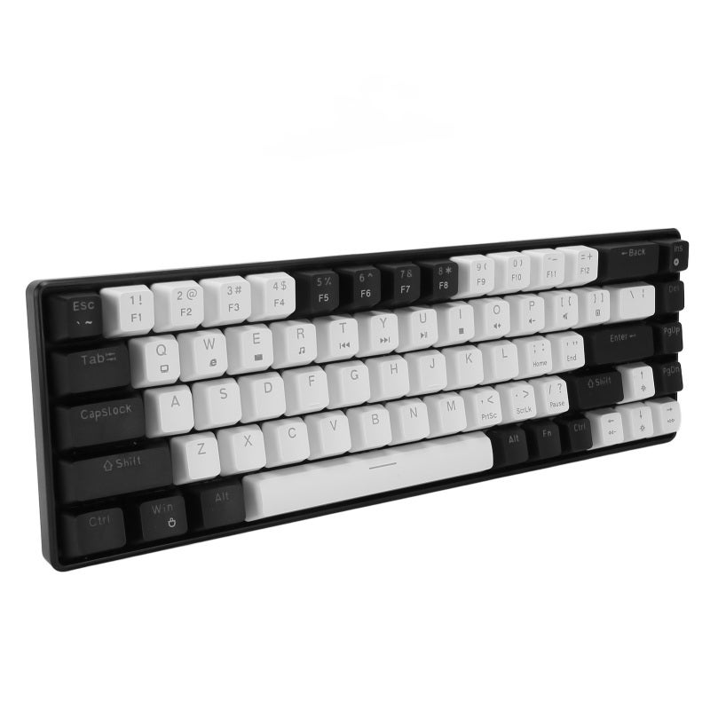 68 Key Mechanical Keyboard Ice Blue Backlight Hot Swappable Ergonomic Design - Double Color Key Cover Mechanical Gaming Keyboard with 19 Lighting Modes for Windows OS X Linux - Image 2