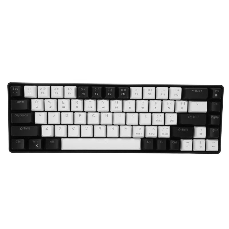 68 Key Mechanical Keyboard Ice Blue Backlight Hot Swappable Ergonomic Design - Double Color Key Cover Mechanical Gaming Keyboard with 19 Lighting Modes for Windows OS X Linux - Image 5