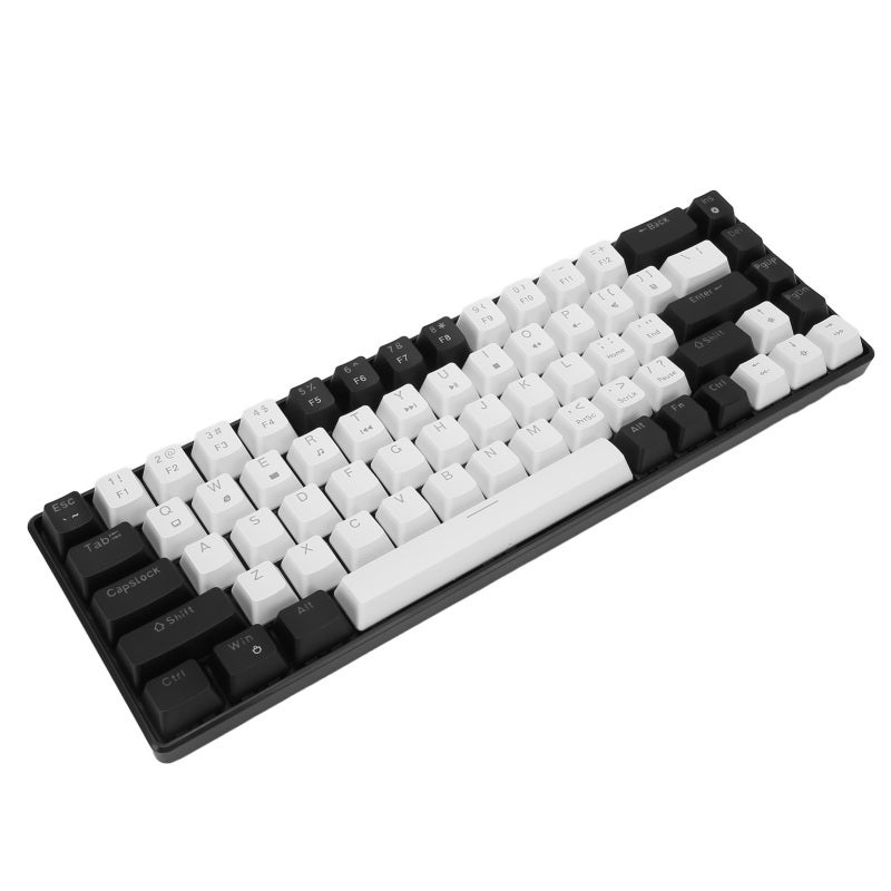 68 Key Mechanical Keyboard Ice Blue Backlight Hot Swappable Ergonomic Design - Double Color Key Cover Mechanical Gaming Keyboard with 19 Lighting Modes for Windows OS X Linux - Image 3