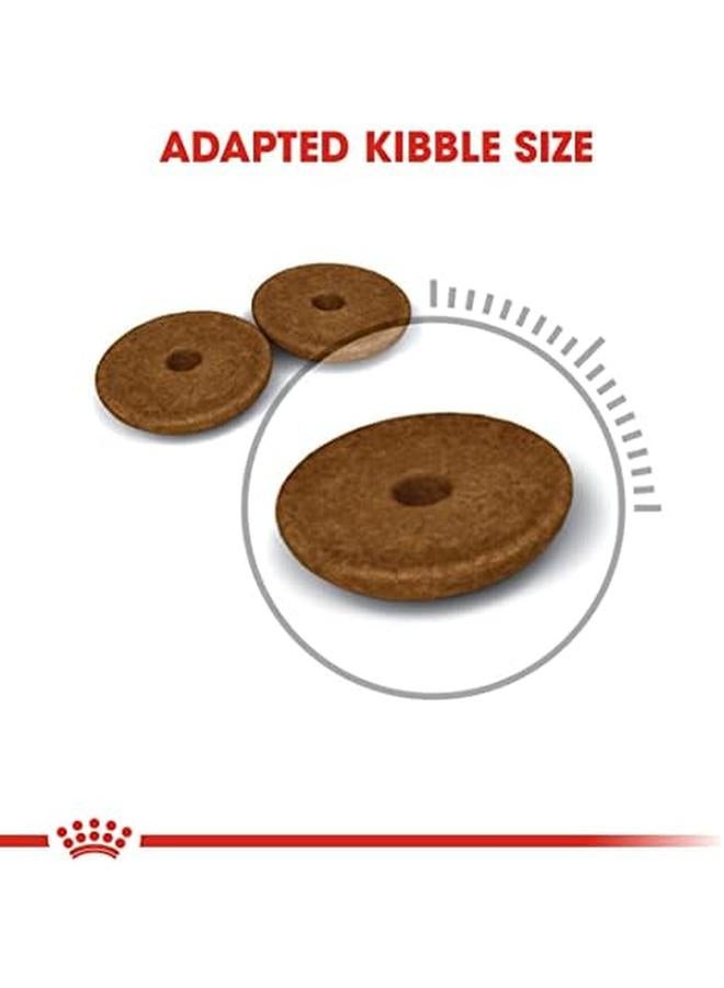 رويال كانين طعام القطط من Fcn دايجيستيف كير 2 كجم لتغذية السلالات - Image 4