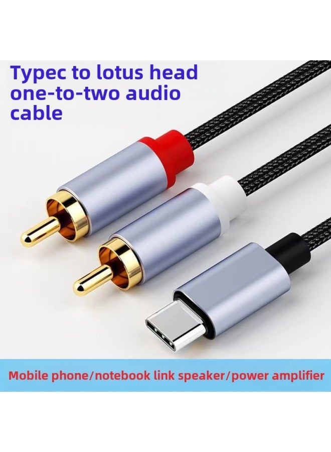 Typec To Double RCA Double Lotus Audio Line Computer Mobile Phone To RCA One-Two Digital Audio Line Wholesale-Color:Digital Chip 2 M  - Image 2