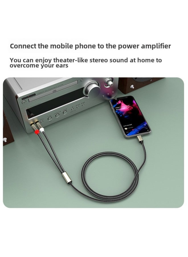 Typec To Double RCA Double Lotus Audio Line Computer Mobile Phone To RCA One-Two Digital Audio Line Wholesale-Color:Digital Chip 2 M  - Image 3