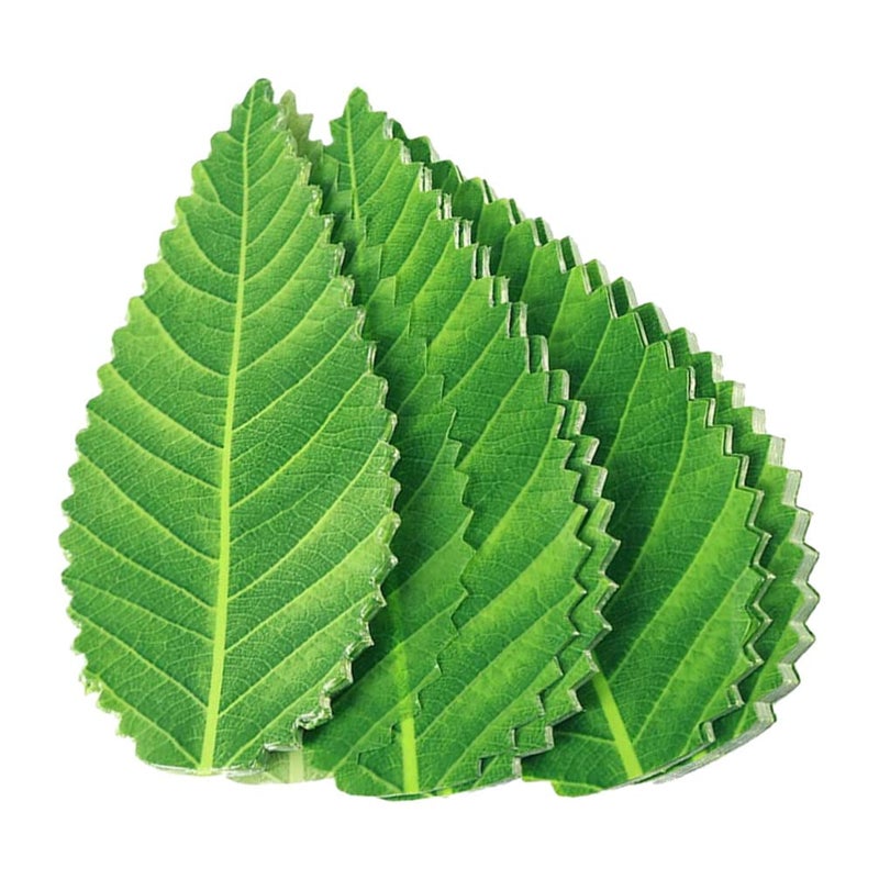 Amosfun Amosfun 200pcs Artificial Leaf Sushi Plate Decoration Japanese Sushi Grass Fake Green Leaves Food Divider Sashimi Plate  - Image 1