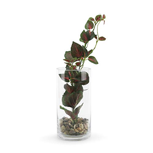 WGVI Quality Thick Weighted Clear Cylinder Glass Vases, 4" W x 8" H, Flower Arrangement Floating Candle Holders Wedding Centerpieces Terrarium Planter Floral Pen Brush Storage Container, 1 Piece - Image 4