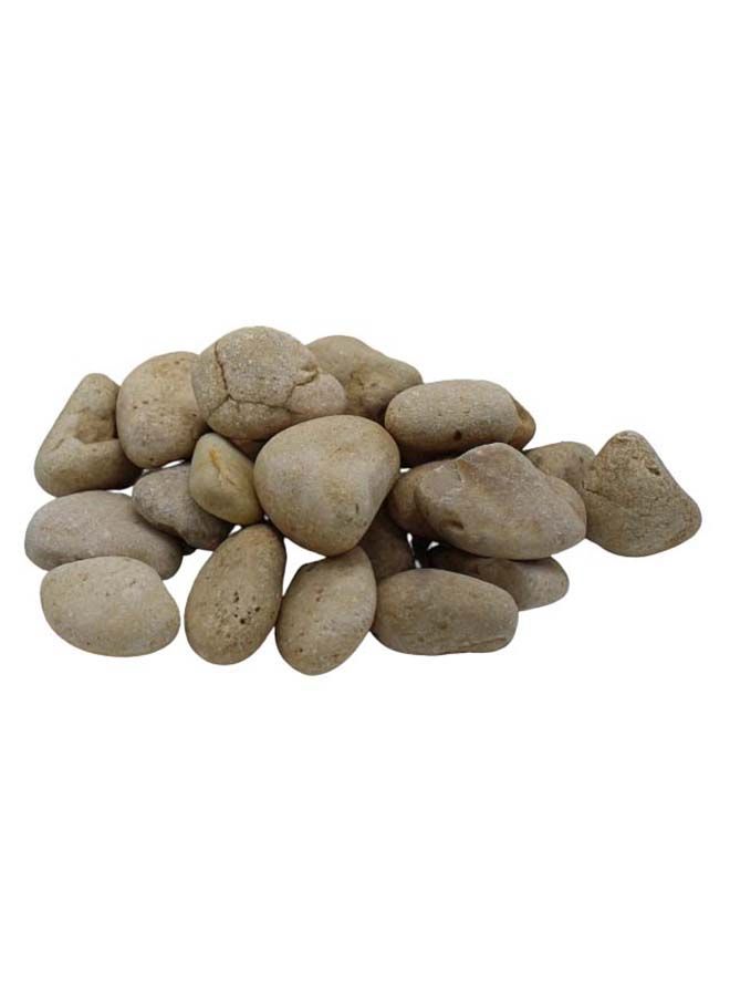 FANCY FLOWERS Decorative Natural Cream White Decoration Stones For Flowerpot Garden Decoration Landscaping Wedding Home Vase Aquarium (3) - Image 3