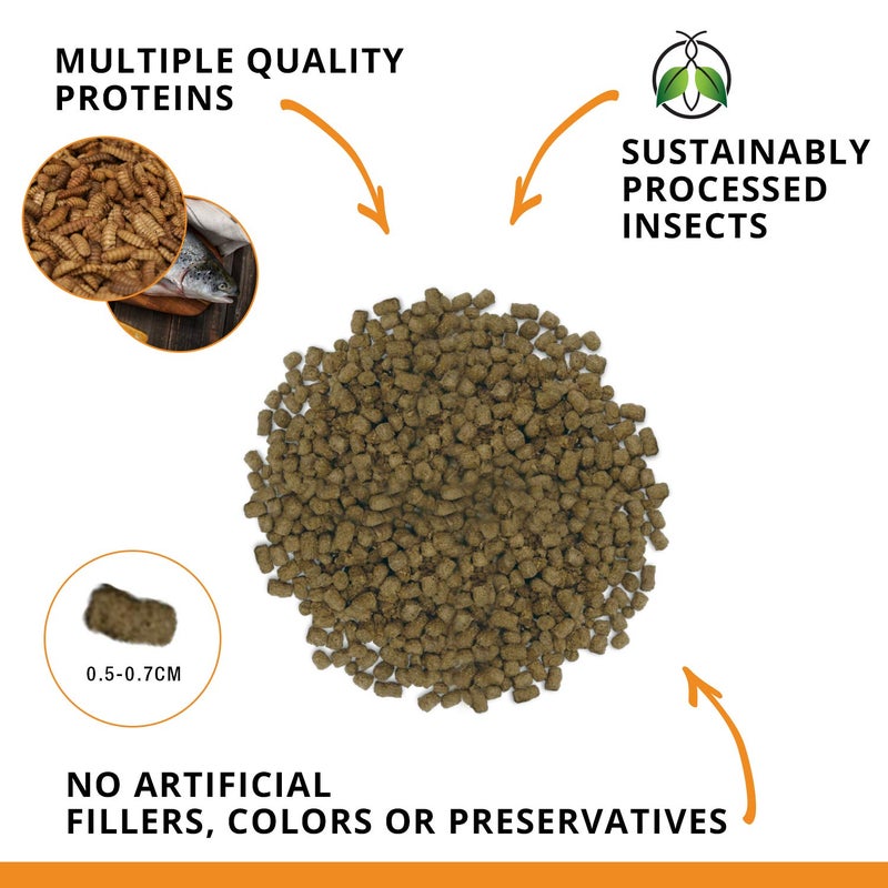 Fluval Bug Bites Goldfish Fish Food, Pellets for Medium to Large Sized Fish, 3.53 oz, A6584 - Image 2
