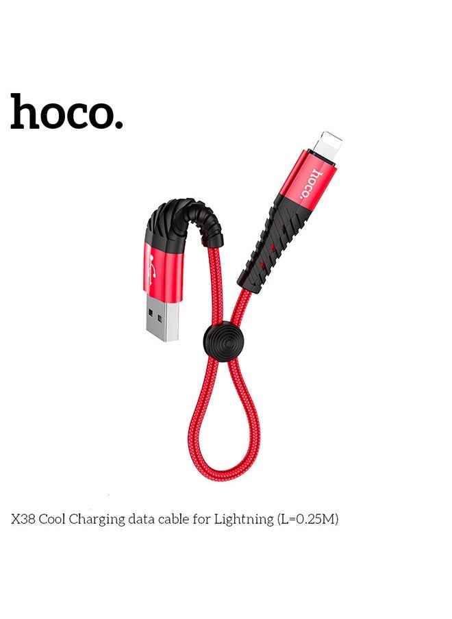hoco. X38 Cool Charging data cable for iP(L=0.25M)  - Image 2