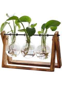 General Plant Terrarium with Wooden Stand, Air Planter Bulb Glass Vase Metal Swivel Holder Retro Tabletop for Hydroponics Home Garden Office Decoration - 3 Bulb Vase  - Image 1