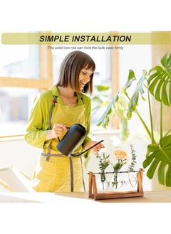 General Plant Terrarium with Wooden Stand, Air Planter Bulb Glass Vase Metal Swivel Holder Retro Tabletop for Hydroponics Home Garden Office Decoration - 3 Bulb Vase  - Image 3