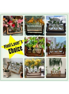 General Plant Terrarium with Wooden Stand, Air Planter Bulb Glass Vase Metal Swivel Holder Retro Tabletop for Hydroponics Home Garden Office Decoration - 3 Bulb Vase  - Image 4