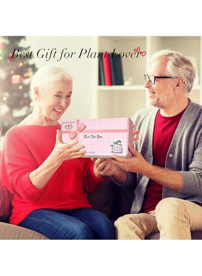 عام مزهرية نبات مع حامل خشبي، زهرة معمرة زجاجية على شكل لمبة مع حامل دوار معدني على الطاولة بطراز عتيق لتصميمات الزراعة في الماء في المنزل والحديقة والمكتب - 3 لمبات زجاجية. - Image 5