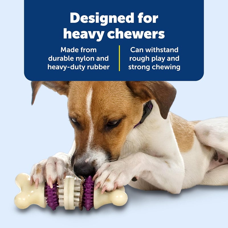 PetSafe Busy Buddy Bristle Bone - Interactive Treat-Holding Chew Toy for Dogs, Medium Size, Purple - Image 4