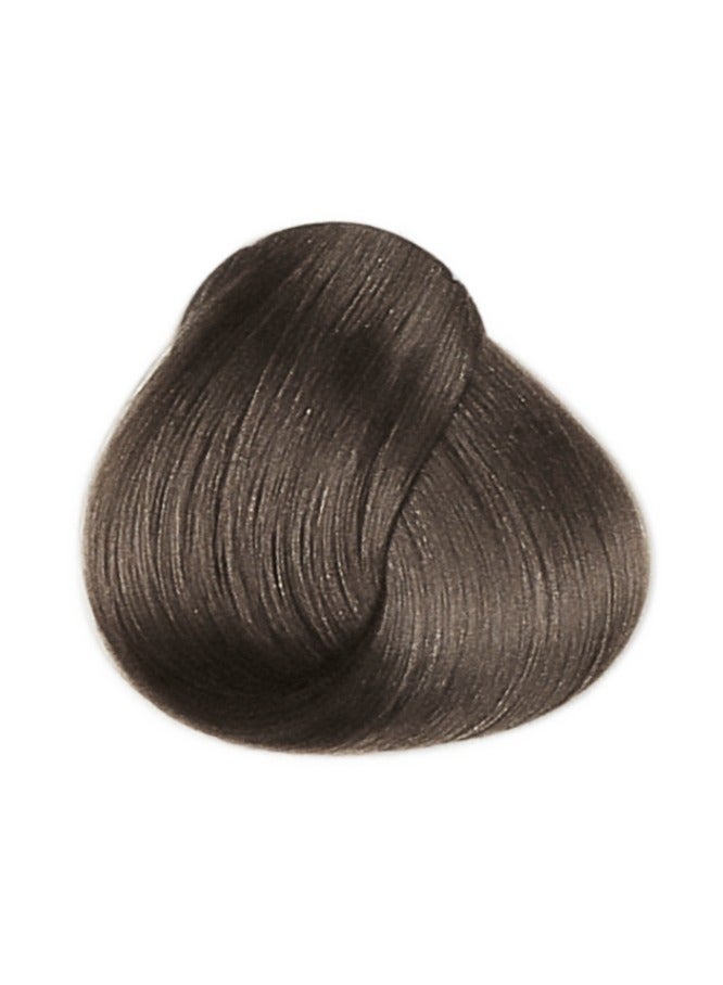 framesi FRAMCOLOR 2001 - Permanent Hair Colouring Cream 60 ML | 6/CB Dark Blonde Cool Brown - Image 2