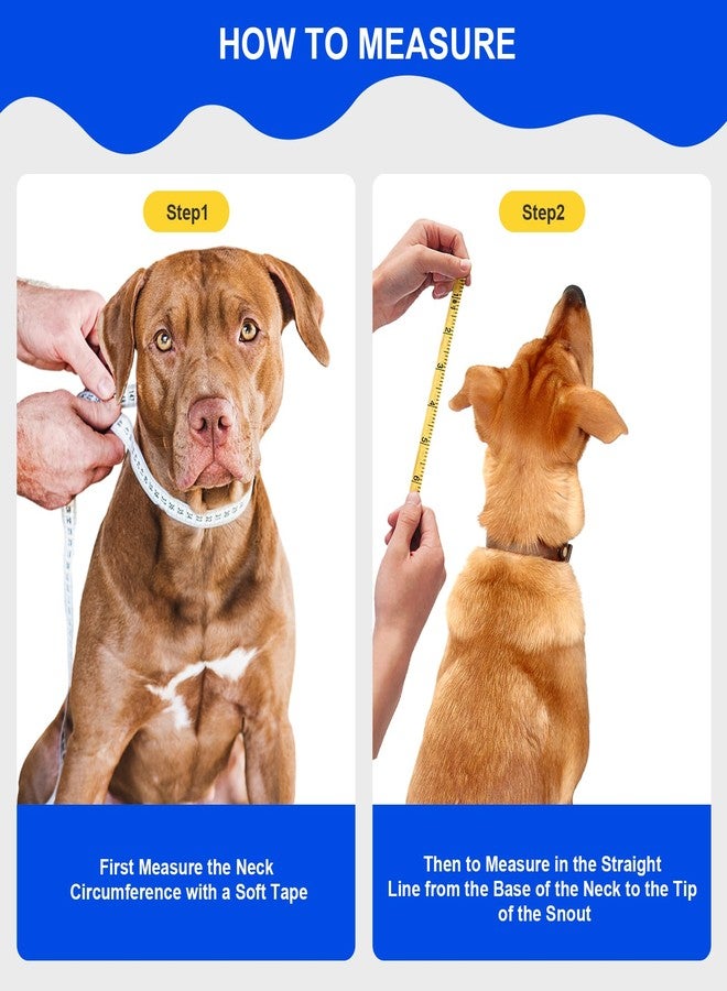 Lainergie Adjustable Dog Cone Collar, Elizabethan Collar (L) - Image 5