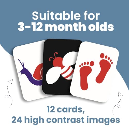 The Curious Bees - Visual Stimulation New Born Anti-Glare Cards | 24 Objects for Visual Colour Stimulation, Cognitive & Sensory Development of 6-12 Month Old Kids - Image 5