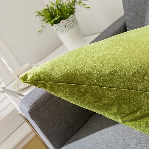 RainRoad Bright Green Throw Pillows Covers Set of 2 Soft Velvet Decorative Pillow Covers 18x18 Inch for Couch Bed (Bright Green, 18" x 18"(Pack of 2)) - Image 4