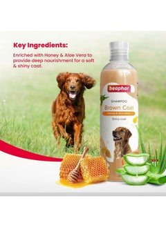 beaphar Beaphar Brown Coat Dog Shampoo with Honey and Aloe Vera | Soft & Glossy Coat | Made Safe for Labrador, Golden Retriever, Shih Tzu | All Natural | Herbal Shampoo for Dogs- 250 ml  - Image 3
