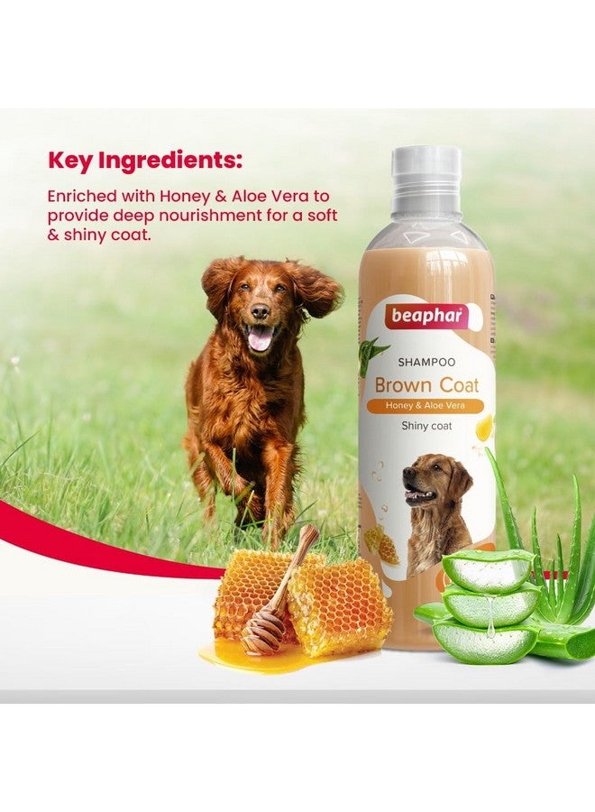 بيفار شامبو بيفار براون كوت للكلاب بالعسل والصبار | معطف ناعم ولامع | آمن للاستخدام مع لابرادور، جولدن ريتريفر، شيه تزو | طبيعي بالكامل | شامبو عشبي للكلاب - 250 مل - Image 3