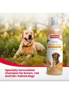 beaphar Beaphar Brown Coat Dog Shampoo with Honey and Aloe Vera | Soft & Glossy Coat | Made Safe for Labrador, Golden Retriever, Shih Tzu | All Natural | Herbal Shampoo for Dogs- 250 ml  - Image 5