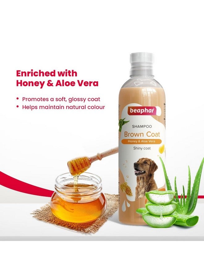 بيفار شامبو بيفار براون كوت للكلاب بالعسل والصبار | معطف ناعم ولامع | آمن للاستخدام مع لابرادور، جولدن ريتريفر، شيه تزو | طبيعي بالكامل | شامبو عشبي للكلاب - 250 مل - Image 4