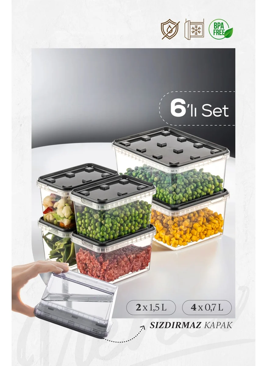 فينيف 6-pack 2x(1.5 Lt)-4x(0.7 Lt) Block Refrigerator and Deep Freezer Leakproof Storage Container Anthracite